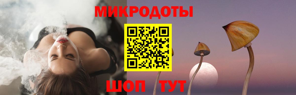 Галлюциногенные грибы Psilocybine cubensis  Вход с VPN  Кунгур 