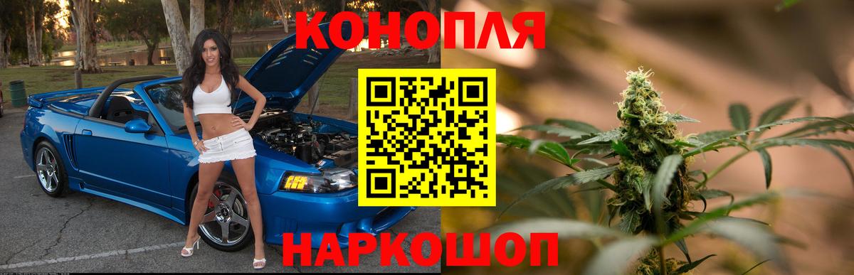 Бошки марихуана тримм  Бошки марихуана Ganja  Конопля план  Вход с VPN  Кунгур  Марихуана план 